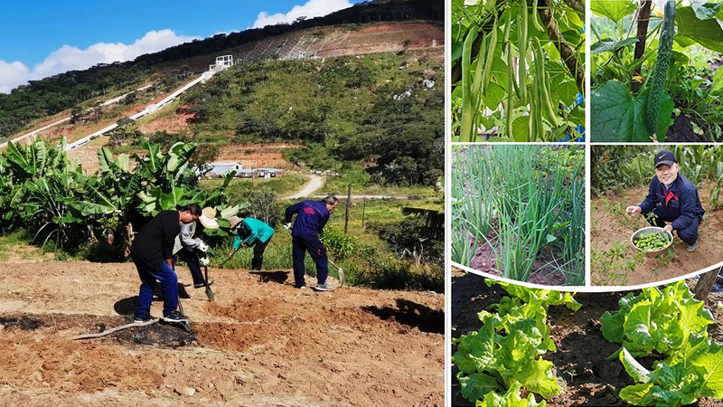 й5657˹(ɷ)޹˾-ٷվ